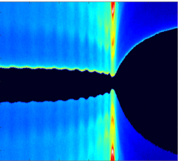Quantum oscillations of the superconducting current propagating in ballistic graphene